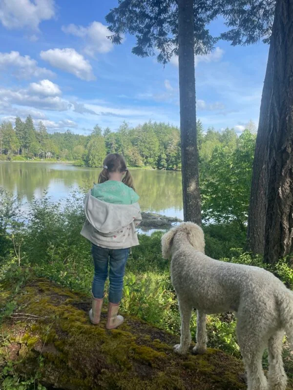 Play = Learning