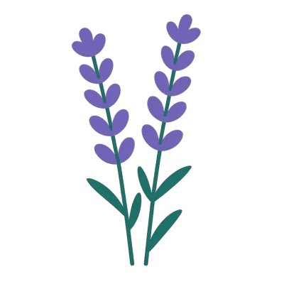 Lavender