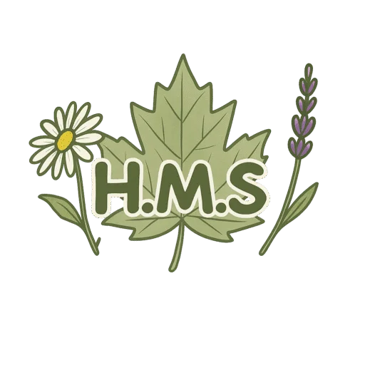 Hidden Meadow School