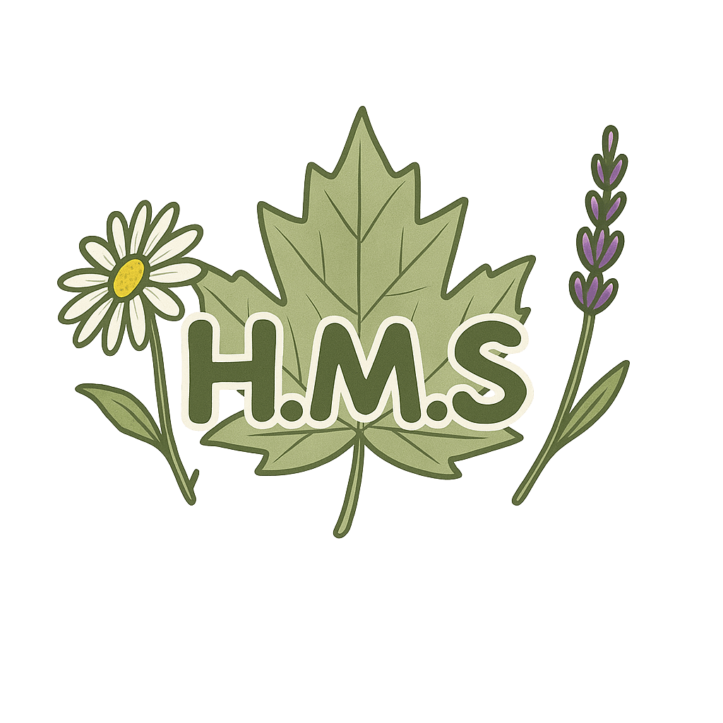 Hidden Meadow School Logo