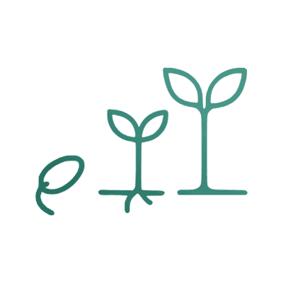 Developmentally Appropriate Practice icon 3 plants growing at different stages