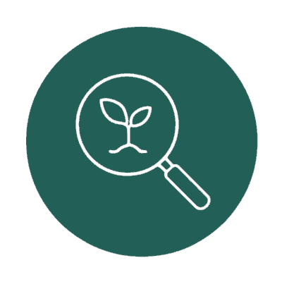 Emergent, Child-Led Curriculum icon, magnifying glass over plant