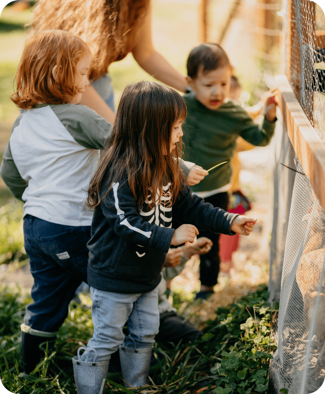 Children looking into the chicken coop at Hidden Meadow School