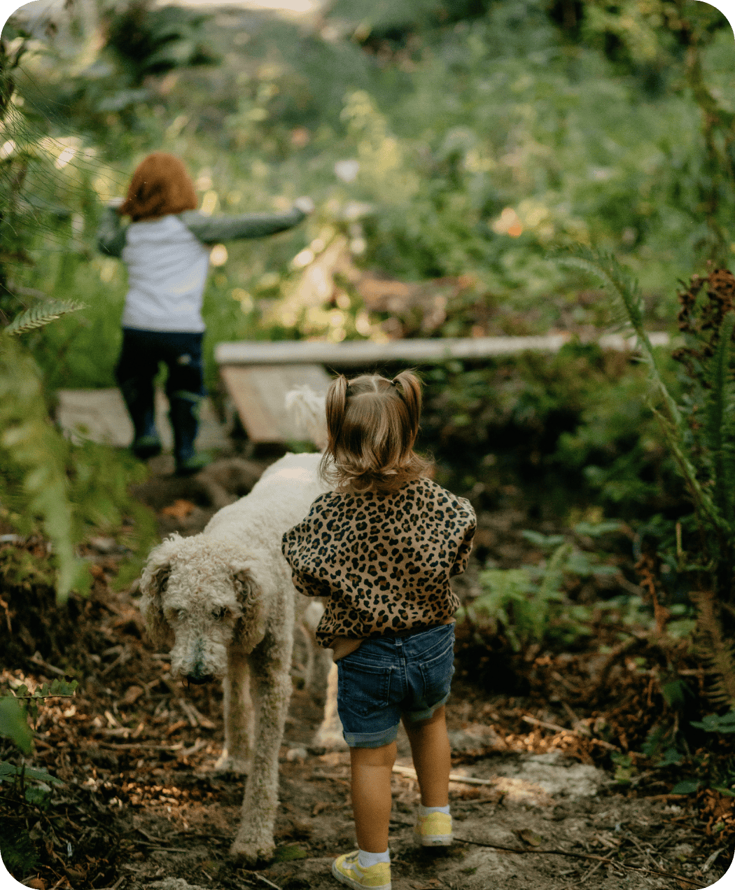 Children exploring trail at one of Hidden Meadow's outdoor spaces in the forest, a white dog is walking opposite of them