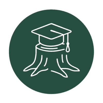 Kindergarten Ready, Nature Strong icon A graduation cap resting on a sturdy tree stump