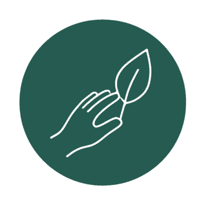 Nature as a Learning Partner Icon child's hand touching leaf