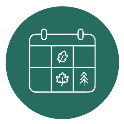 Program Days icon calendar with leaves 