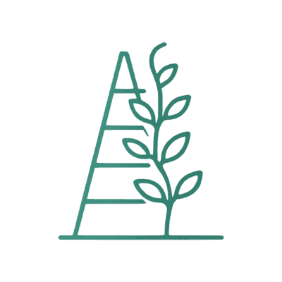 Scaffolded Instruction icon trellis with plant growing up the side