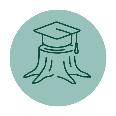 Academic Preparation icon A graduation cap resting on a sturdy tree stump