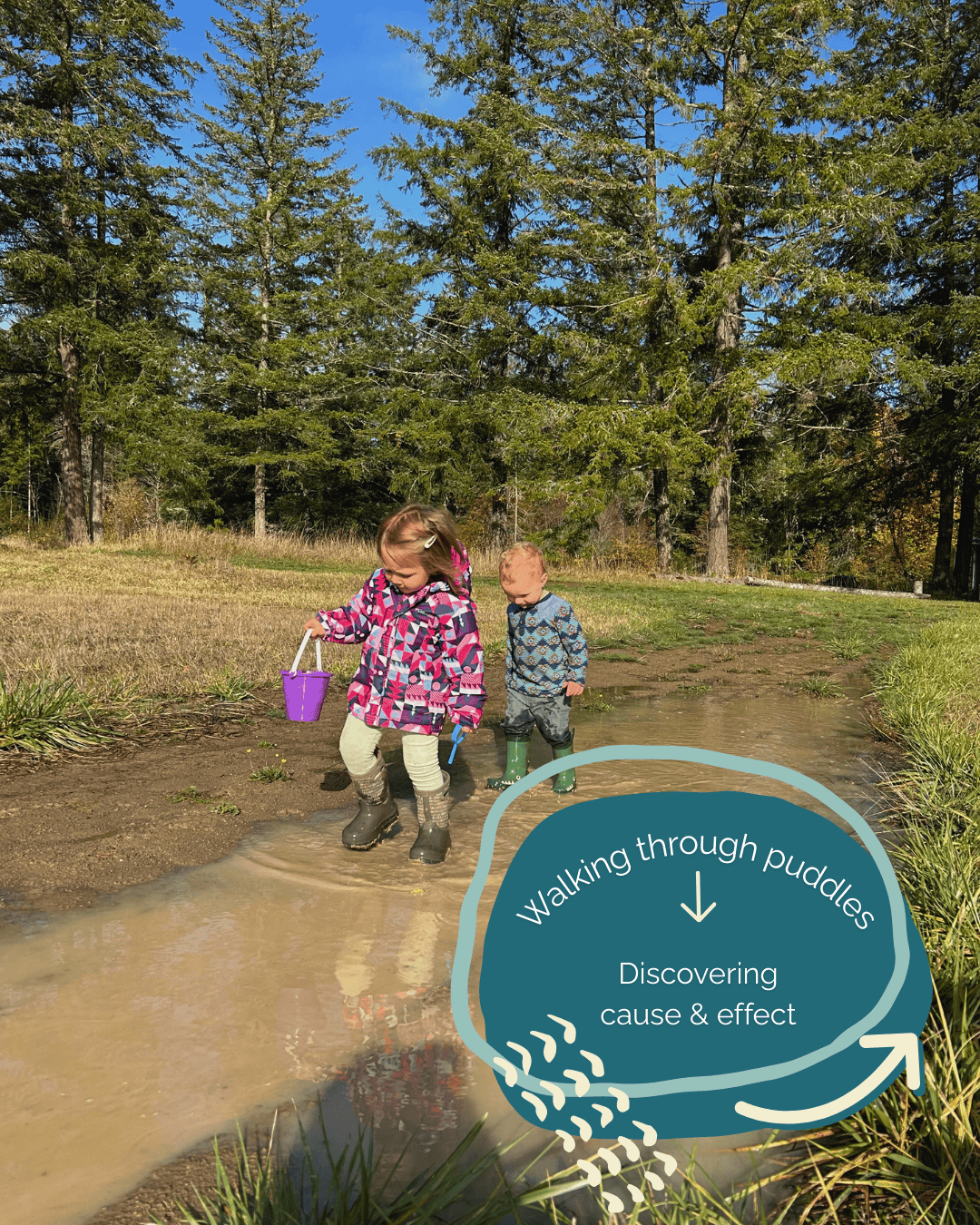 children walking through puddles at Hidden Meadow School with text that says: Walking through puddles: Discovering cause & effect