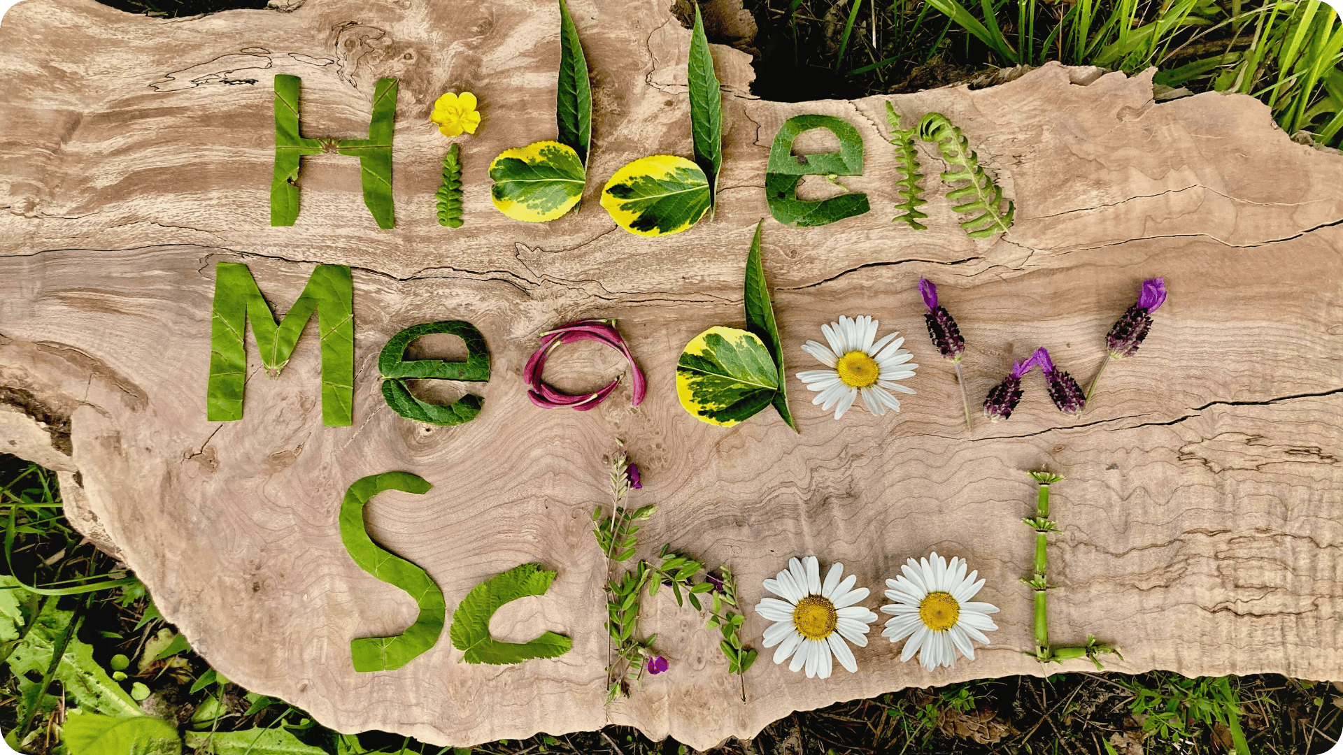 Hidden Meadow School spelled out in flowers and leaves on a log