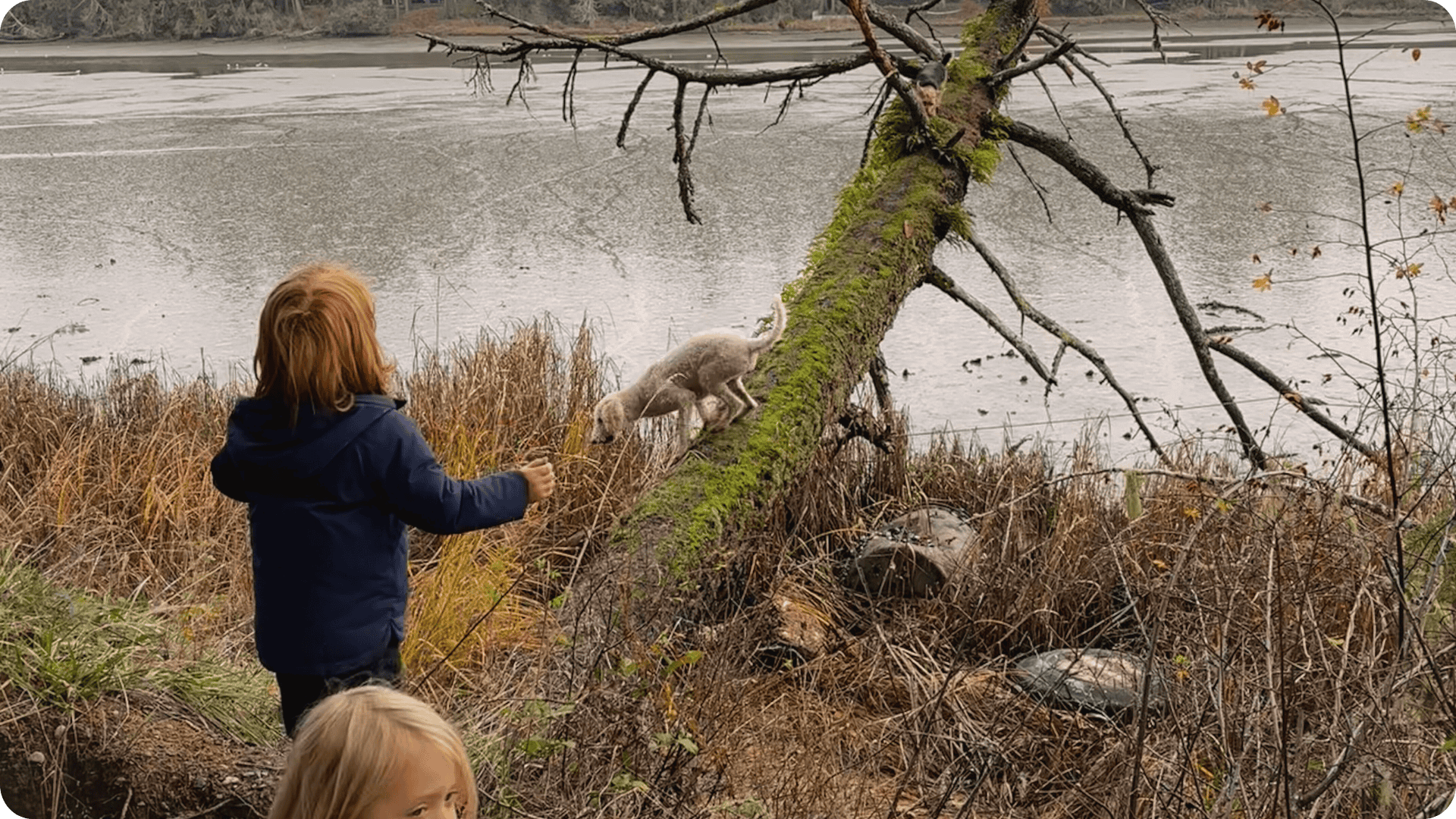 Children looking out at the Inlet at Hidden Meadow Outdoor School