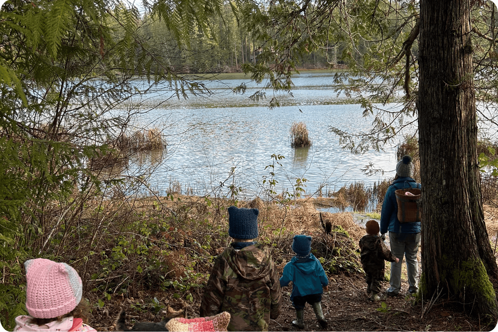 Hidden Meadow Water Front Trails Children walking towards the water