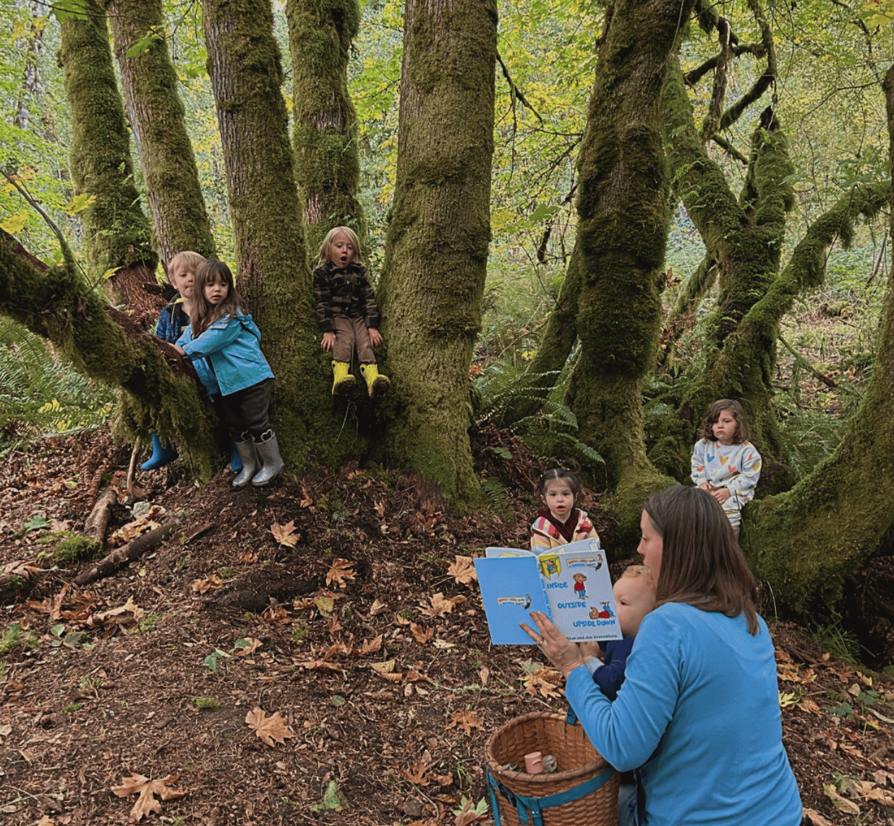 Story time in the trees at Hidden meadow forest school. Molly is holding a book and the children are sitting in the tree as she reads