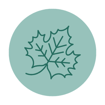 Maple leaf icon