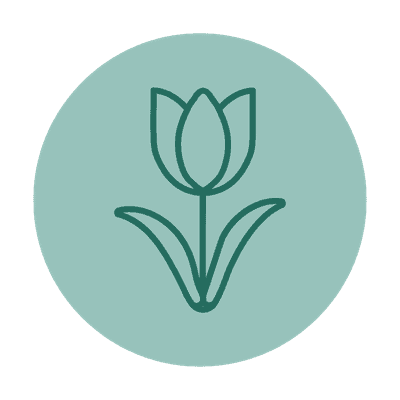 tulip icon