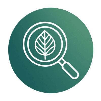 Time for Deep Exploration icon magnifying glass showing leaf