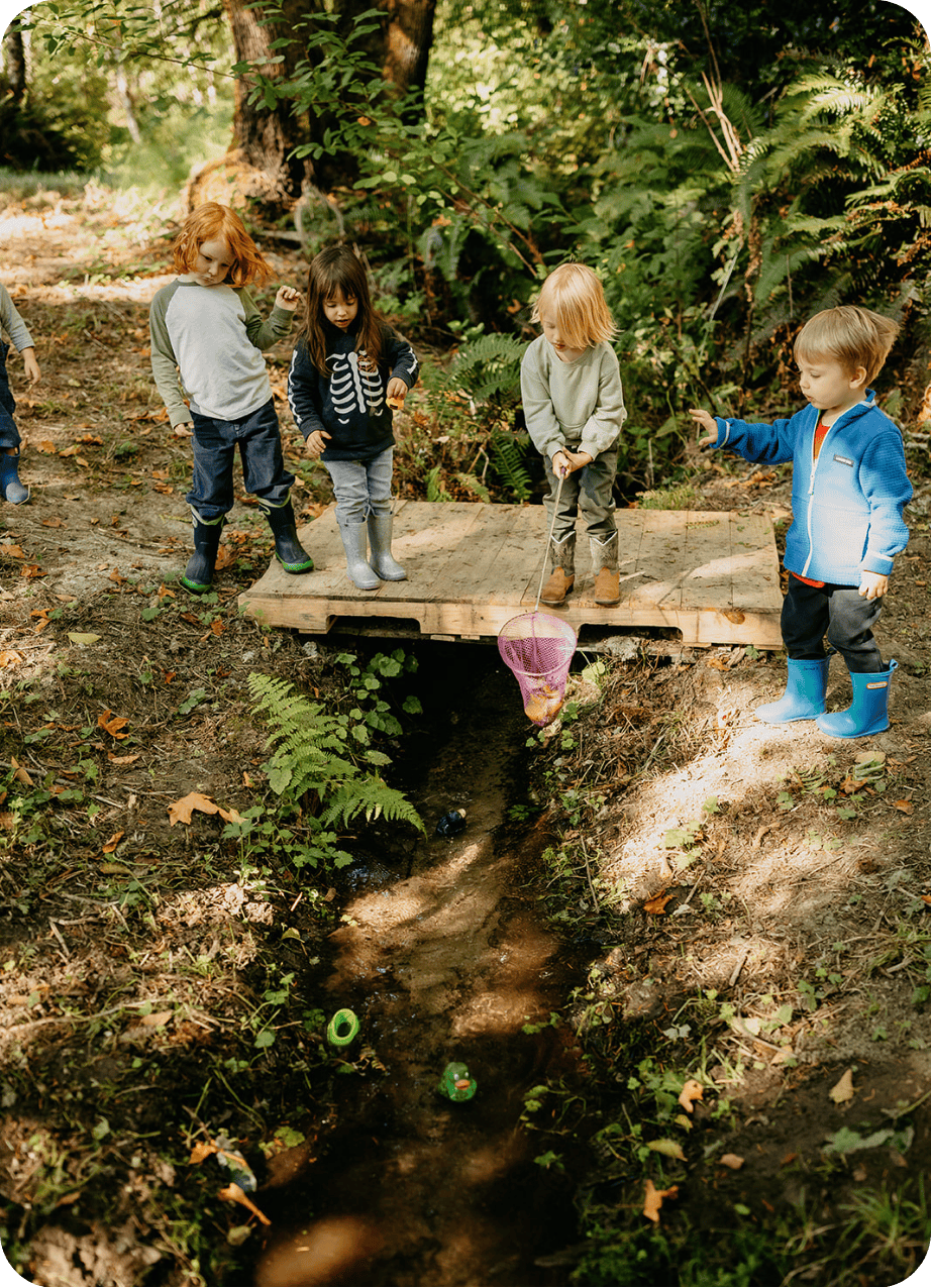 Children playing in the creek at Hidden Meadow School