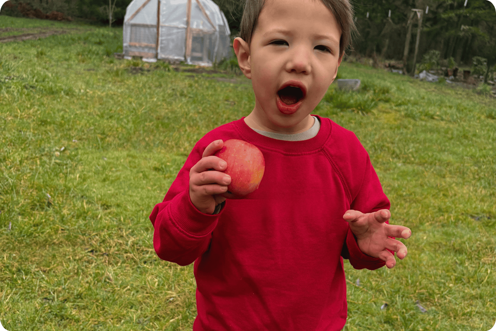 Child holding apple representing the Orchard at Hidden Meadow