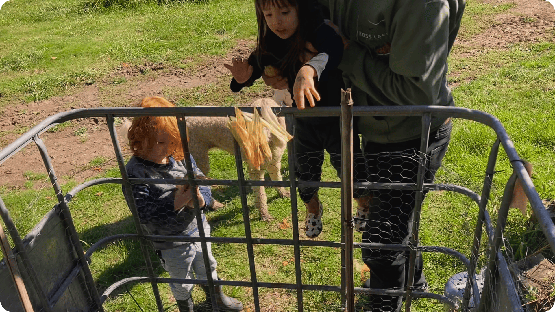 Jake helping child throw something into the compost at Hidden Meadow School