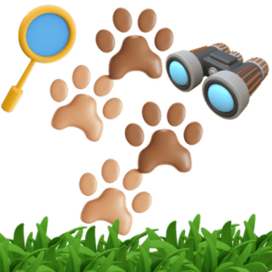 Wildlife Detectives Icon. Animal tracks with grass, binoculars, and magnifying glass