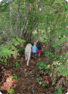 Wilma at Hidden Meadow Forest School (2)