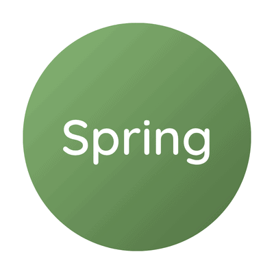 Spring icon