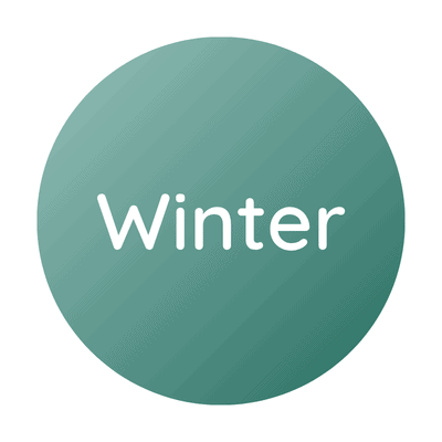 Winter icon